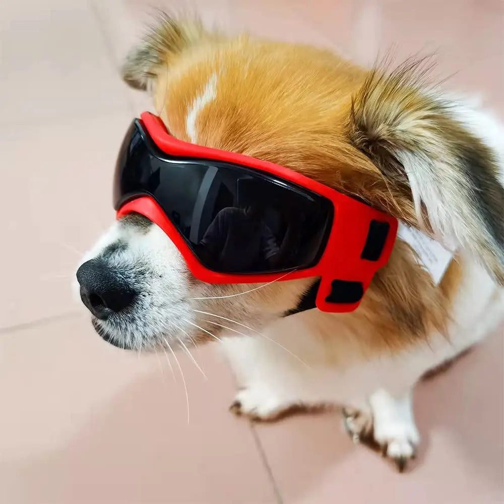 VisionPaws Lunettes de Protection UV Ajustables pour Chiens