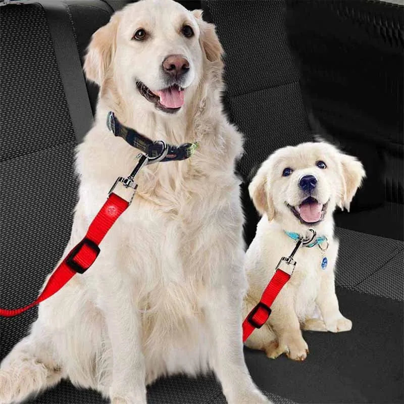 Ceinture de sécurité DogTravel®