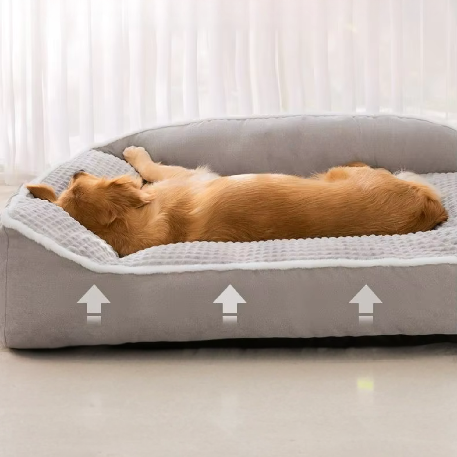 panier chien rond ComfortNest – coussin moelleux forme enveloppante