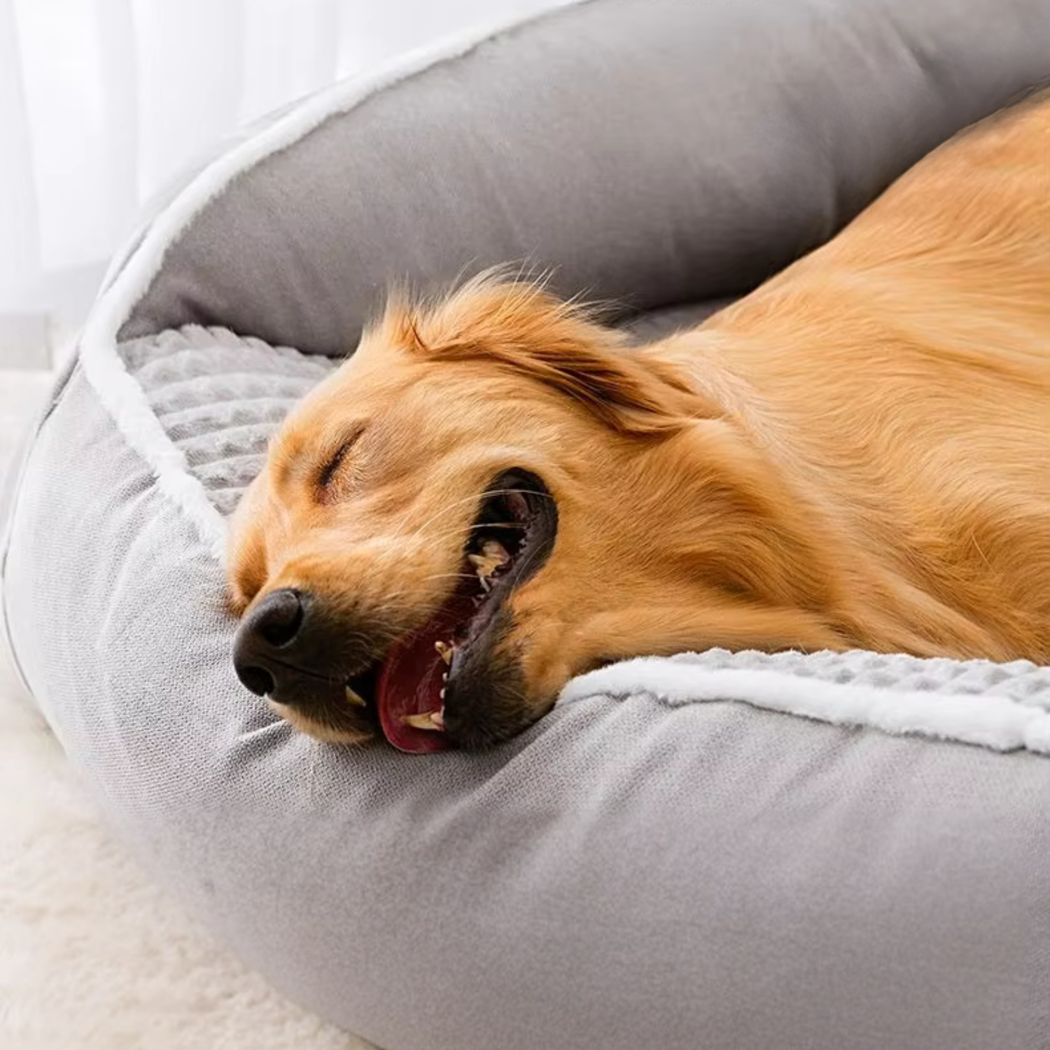 ComfortNest – Panier pour Chien Ultra Confort | Coussin Apaisant & Orthopédique Lavable