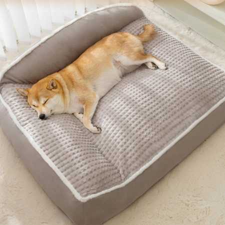 chien dans panier ComfortNest – lit moelleux apaisant pour sommeil profond