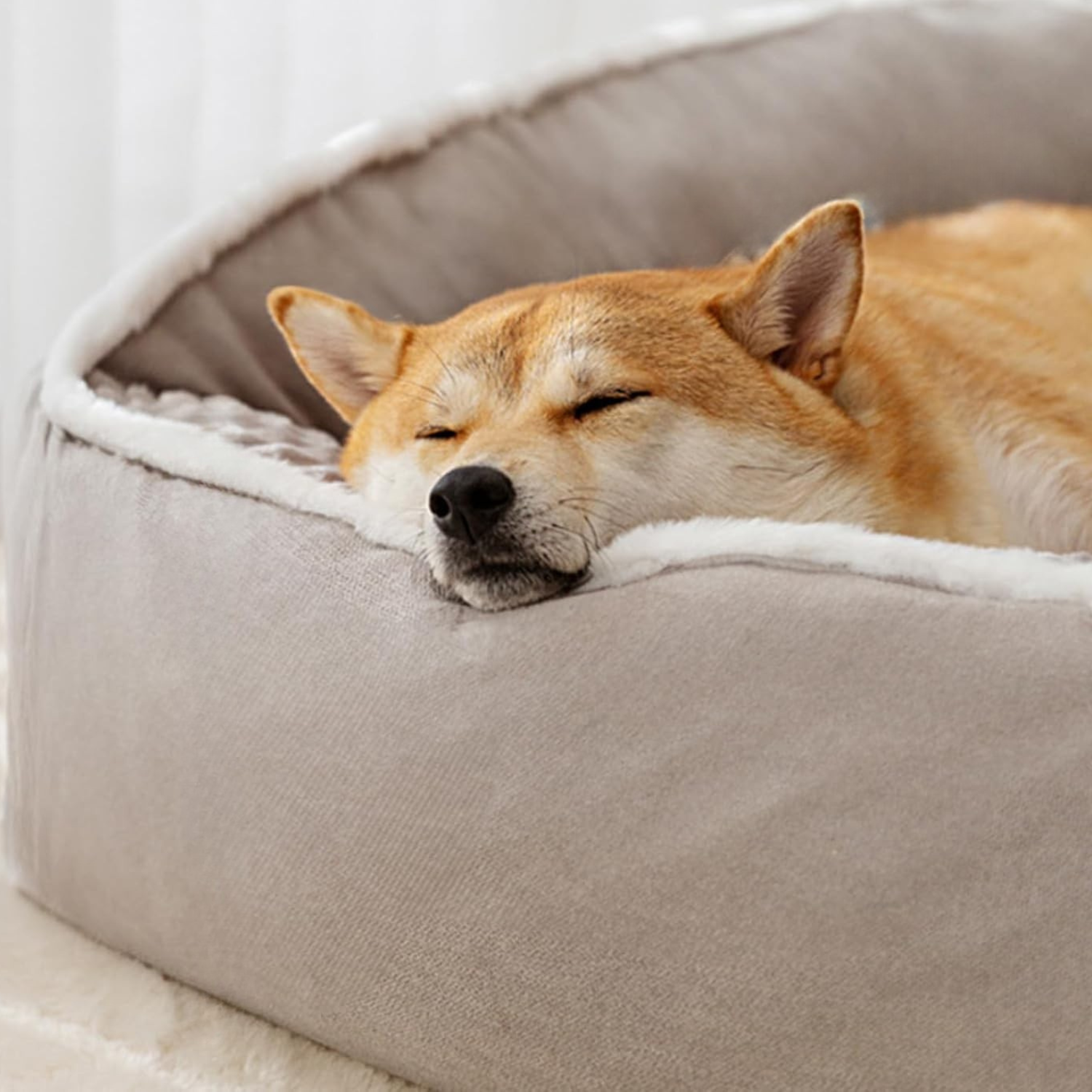 ComfortNest – Panier pour Chien Ultra Confort | Coussin Apaisant & Orthopédique Lavable