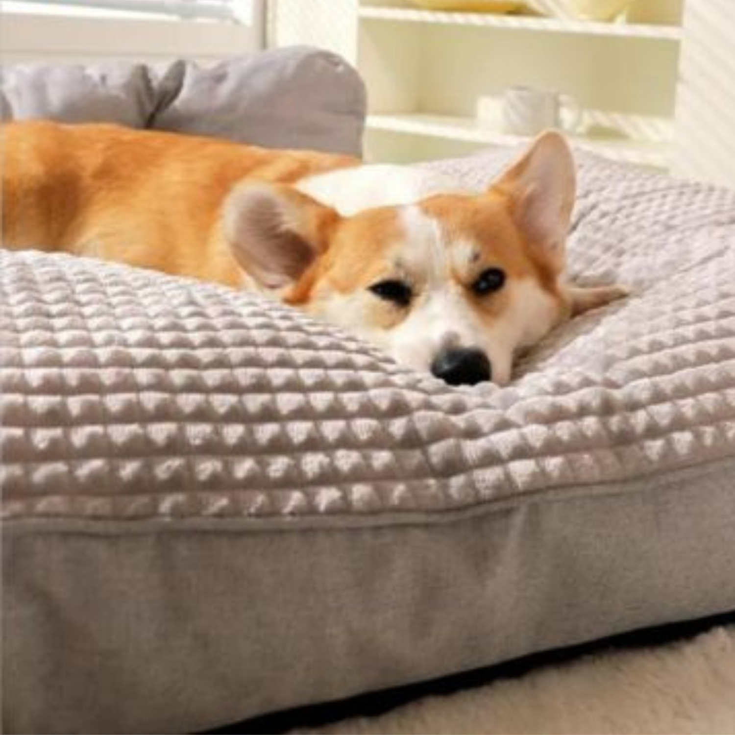 ComfortNest – Panier pour Chien Ultra Confort | Coussin Apaisant & Orthopédique Lavable