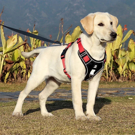 HarmonyHarness™ - Harnais Anti-Traction Confort pour Chiens