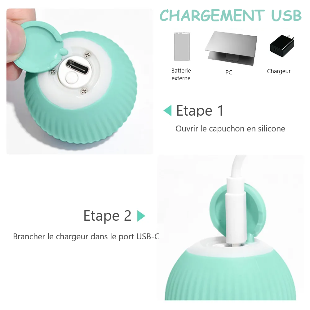 Balle Interactive pour Chat
