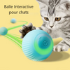 Balle Interactive pour Chat