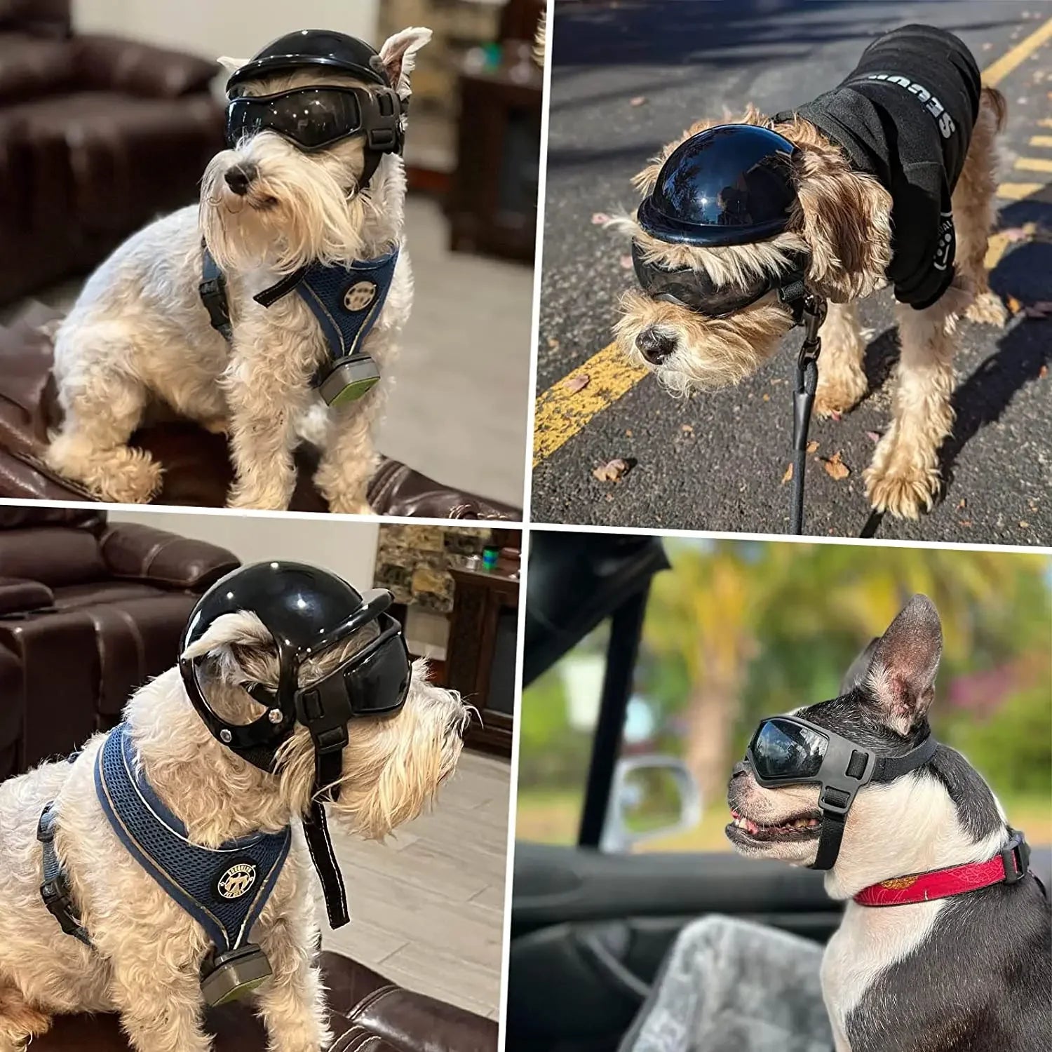 AdventureGear™ - Ensemble Casque et Lunettes de Protection pour Chiens