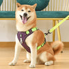 HarmonyHarness™ - Harnais Anti-Traction Confort pour Chiens